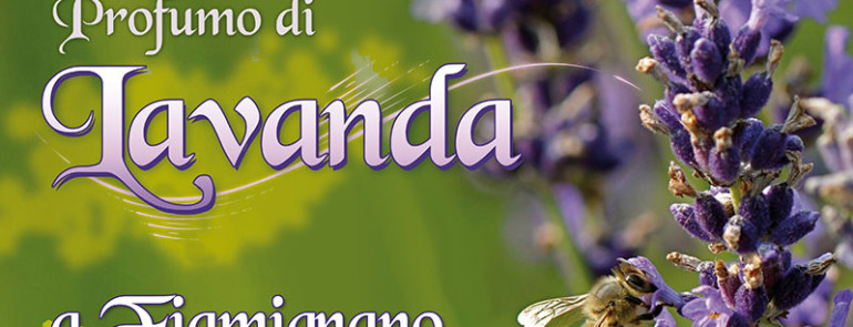concorso lavanda
