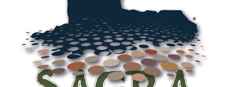 Layout 1