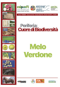 07_MELO VERDONE CITTAREALE_45-50