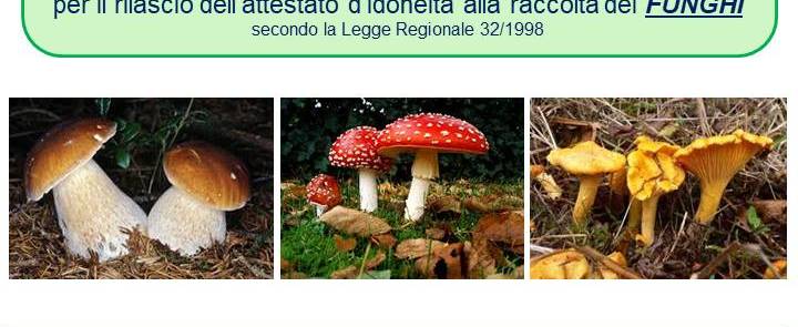 Corso di formazione micologica